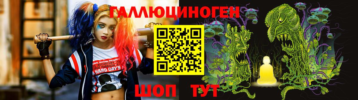 Чернушка  Галлюциногенные грибы прущие грибы  Вход с VPN 